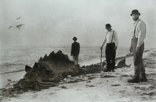 1_untitled_Doely_Noah